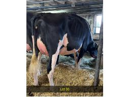 35-Val D Espoir Jakers Tilapia -0430