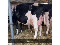 20-Branchview Desma -EX-90-2E-676