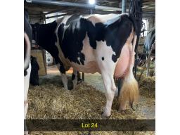 24-Ryla Solomon Bailey EX-92-61