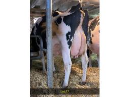 27-Weeksdale Deal Breaker VG-85-494