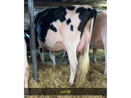 29-Weeksdale Unix Kourtney VG-85-2yr -487