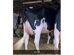 34-Comestar Presila Limited GP-83-8078