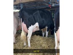 52-Tween Bays Milano Titania NC --2290