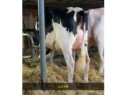 69-Jacobs Bullseye Brazen--1526