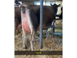 76-Weeksdale High Life -540