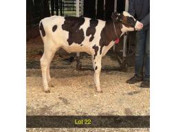 22-Weeksdale Avenger Beauty-665