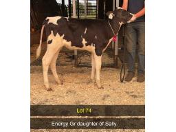 74-Martin-View Energy Slamdunk-152