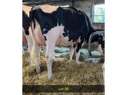 39-Lonelymaple LX Alcove Gladys -960