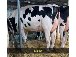 50-Tween Bays Miami G-77 -2363