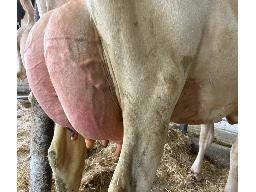 32-Alna Alcove Hanissa TB-85-2a SM:86 -2412