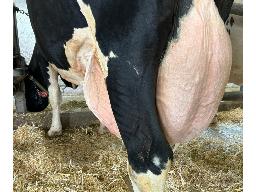 51-Alna SS Snorima TB-88 -3025