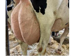 14-Alna Fuel Assulya BP-83 -2373