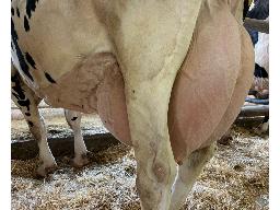 95-Alna Lillou Delta TB-85 -3080