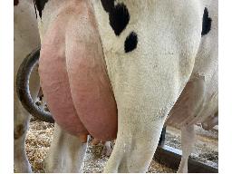 1-29-Alna DL Haven TB-2a -9693