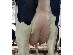 49-Alna DL Solaine NC -9717