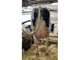 67-Alna Alcove Seacilya BP-83 -9677