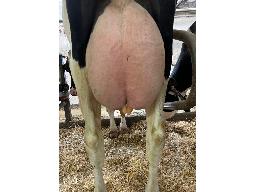 79-Alna Destination Helindra TB-1a -9691