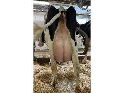 97-Alna Randall Lunou BP-80 -2386