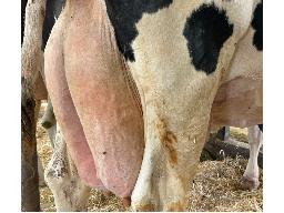 80-Alna Kolya Control EX-2E MS:92 -3057