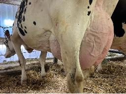 26-Alna Alcove Haila BP-84-2a -2409