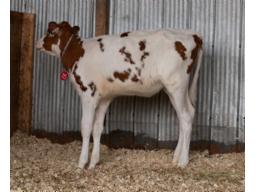 15-Gleann Alpha Redaction