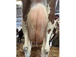 39-DUCRAN ALASKA FITNESS BP-83 2006