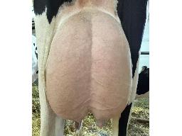 33-Viat Energy Félicia