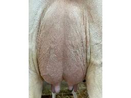 28-MJF Loyall Choudamour 