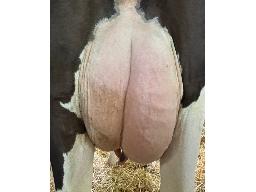 17-Delaplaine Havenofear Jessic