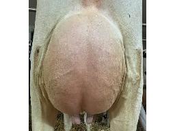 13-Duchesnet Destination Beauty 