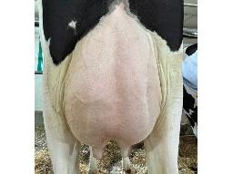 38-Boulet Fuel Cubic