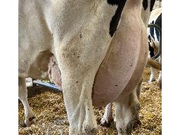 112-520-Serheal Doc Seve 520 VG-87