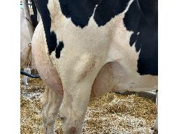 79-641-Yireh Midnight Jumper GP-82 