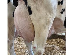 59-645-Yireh Mirand Kawartha GP-84