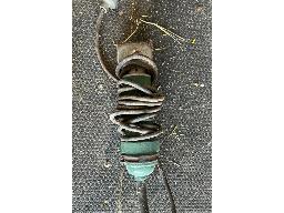 Clipper Aesculap green