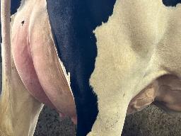 7097 – Blondin Wall Raindrop BP-83