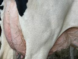 7554 – Blondin Mirand Amylee-P EX-90