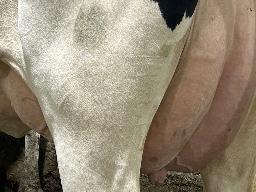 4747 – Blondin Alpha Constellation TB-85-2ANS