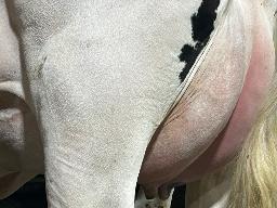 746 – Benrise Alongside Isabelle NC