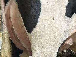 540 – Willolane Altitude Kai TB-85