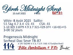 114-653-Yireh Midnight Sirop GP-84