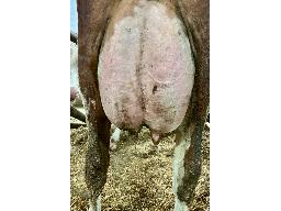 22-3441-70 Jeannoise Natasha