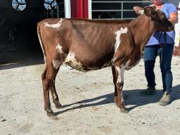 1-KOLSON LASER LEADING LADY