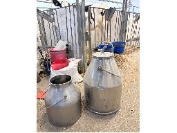Trayeuse DeLaval  petit modele