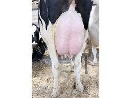 64-Astre Mailbox Gladys-6464