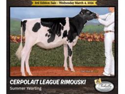 Cerpolait League Rimouski 