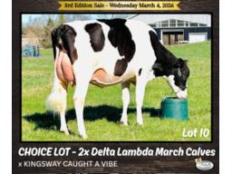 10- Choice Delta Lambda x Kingsway Caught A Vibe VG-87