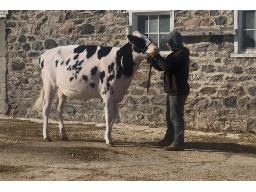 7- Petitclerc Jerry Adine 