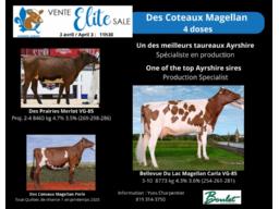 Lot-1 4 Doses de: Des Coteaux Magellan