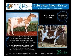 Lot # 6, Dale Vista Raven Krista 